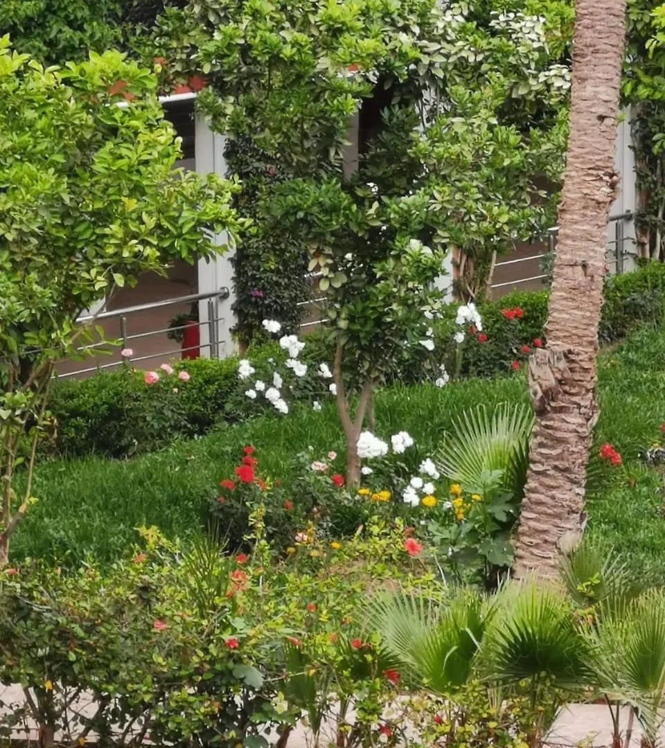 Riad Hicham In Marrakech Marakéš 0*,  Maroko